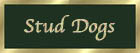 stud dogs