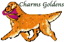 charms logo